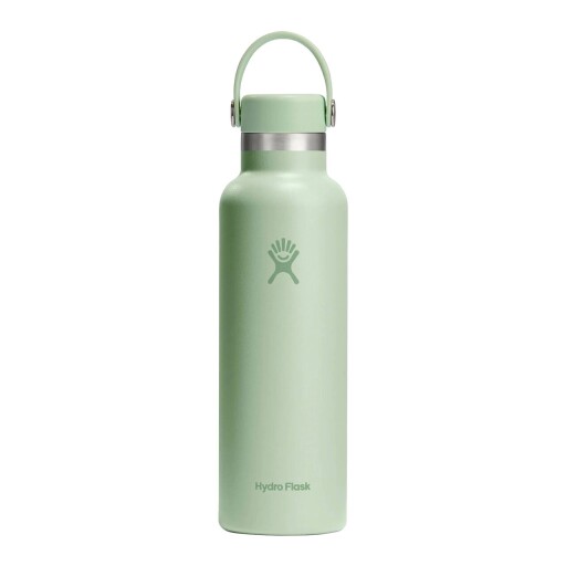 Sticla termos, inox, 620ml, "Standard", Aloe - Hydro Flask