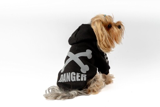 Hanorac pentru câini, Paws &amp; Whiskers, Danger Hoodie, Negru