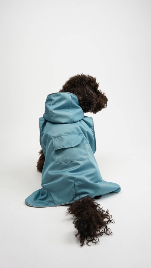 Hanorac pentru câini, Paws &amp; Whiskers, Daily Raincoat, Albastru