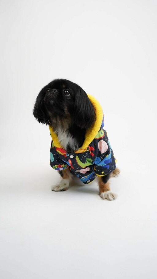 Hanorac pentru câini, Paws &amp; Whiskers, Cosmic Raincoat, Multicolor