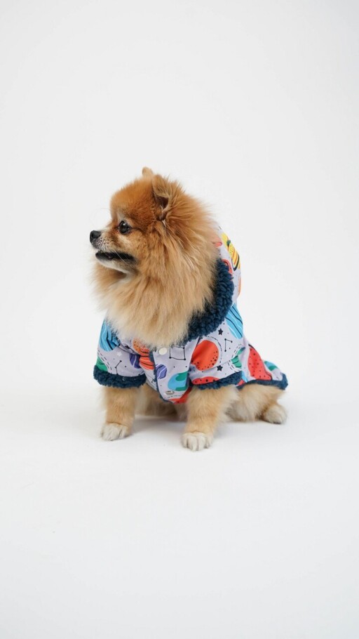 Hanorac pentru câini, Paws &amp; Whiskers, Galaxy Raincoat, Multicolor