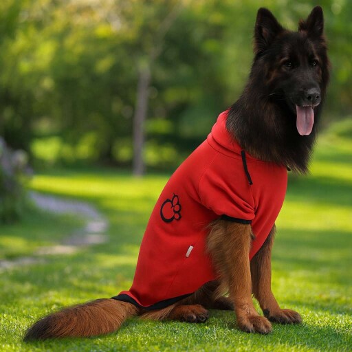 Hanorac pentru câini, Paws &amp; Whiskers, Kırmızıpatisweat, Rosu