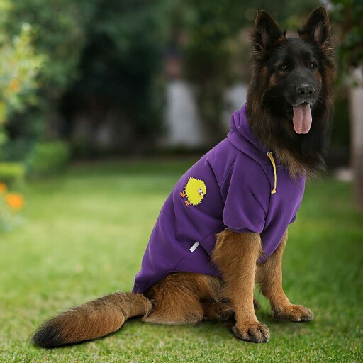 Hanorac pentru câini, Paws &amp; Whiskers, Purplechicksweat, Mov
