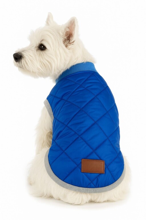 Hanorac pentru câini, Paws &amp; Whiskers, Royalbluejacket, Albastru