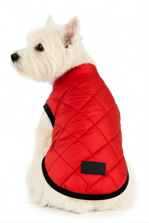 Hanorac pentru câini, Paws &amp; Whiskers, Redjacket, Rosu