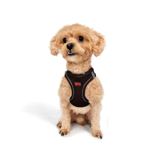 Ham pentru câini, Paws &amp; Whiskers, Air-Mesh, Maro