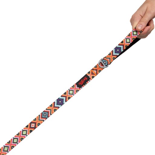 Lesă pentru câini, Paws &amp; Whiskers, Ethnic Small, Multicolor