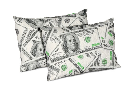 Set 2 perne Alcam, 50x70 cm, Dollar Dream, microfibra matlasata