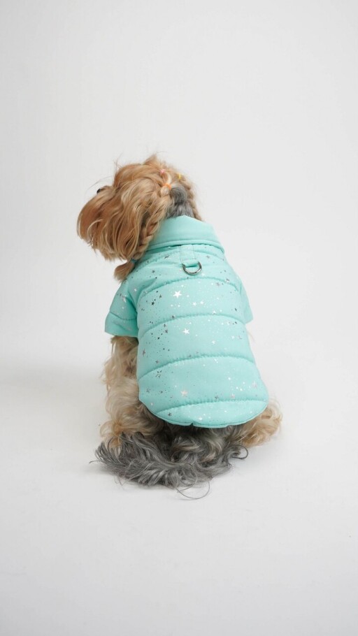 Hanorac pentru câini, Paws &amp; Whiskers, Angel Glow Coat, Albastru