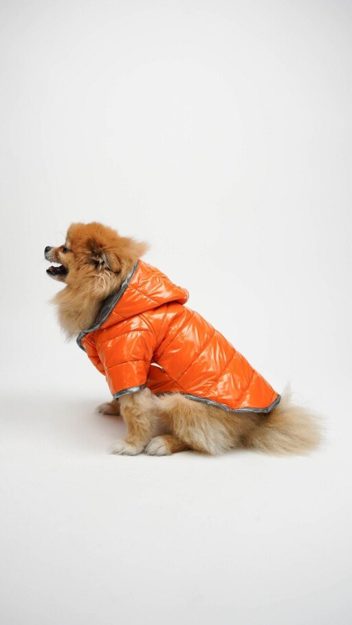 Hanorac pentru câini, Paws &amp; Whiskers, Moncler Coat, Portocaliu