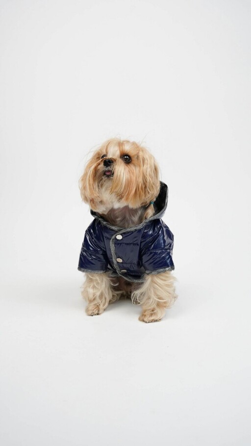 Hanorac pentru câini, Paws &amp; Whiskers, Moncler Coat, Indigo