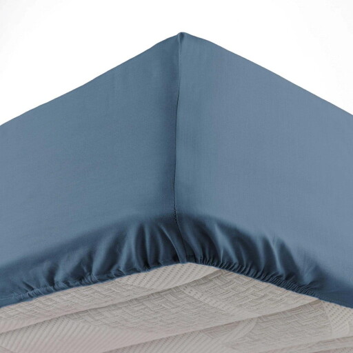 Cearceaf albastru din microfibră cu elastic 90x190 cm Oscar – douceur d'intérieur
